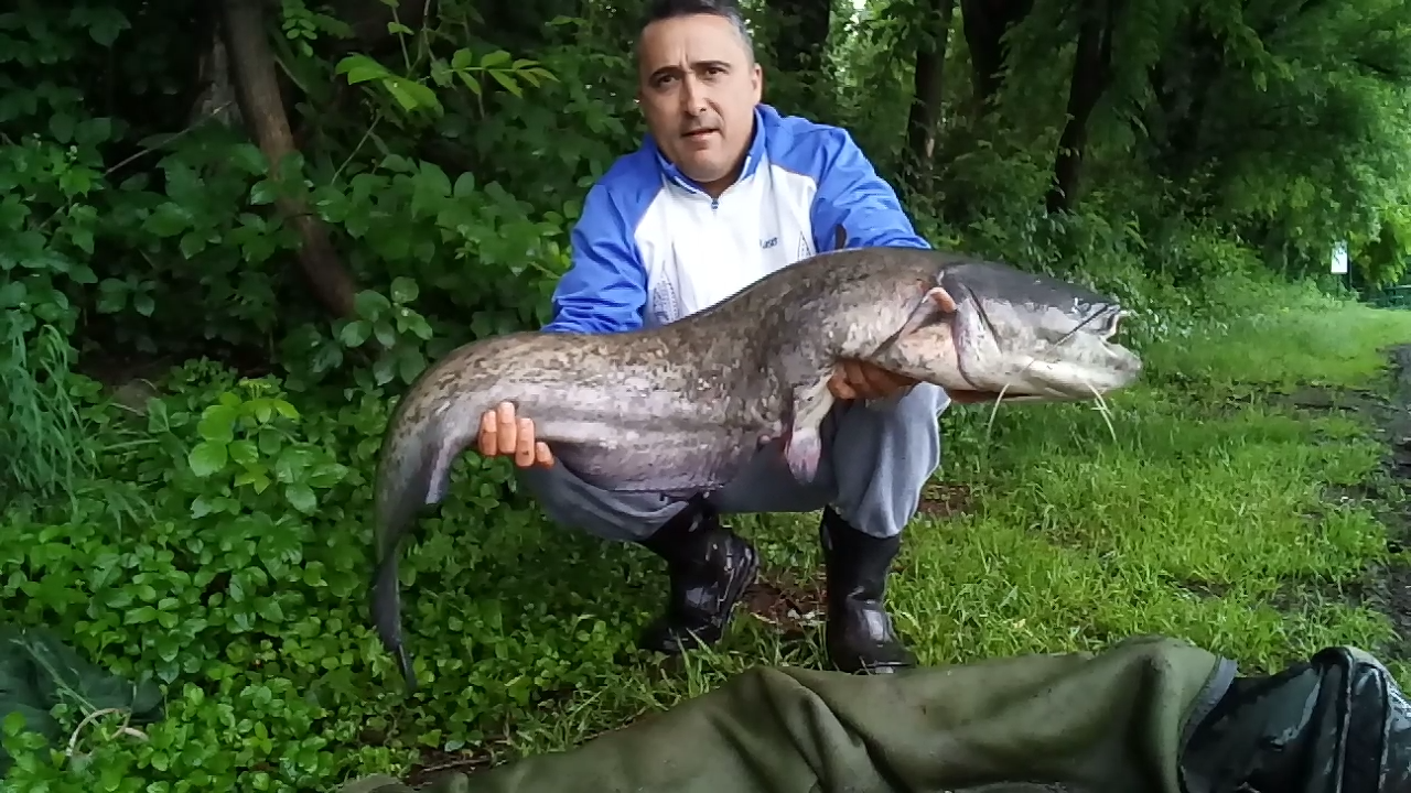 ISOLA DEL PESCATORE 28 - 29 mai 2018 - screenshot2018-05-29-09-20-50.png